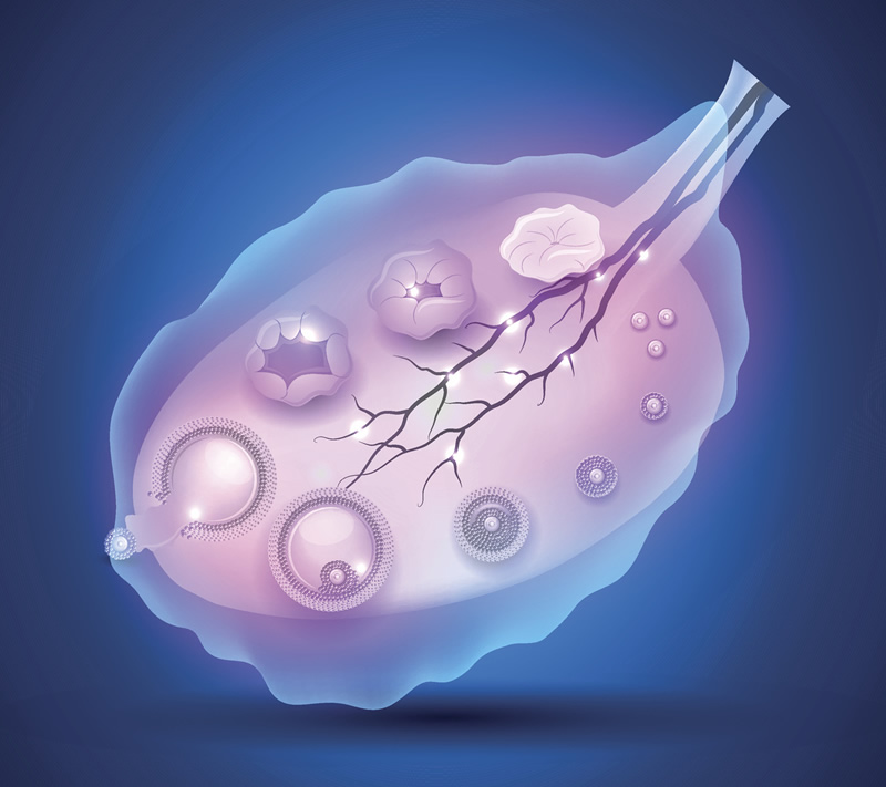 拉萨地区具备辅助生殖资质的医院盘点：西藏自治区人民医院生殖中心等机构技术解析，附试管相关费用参考